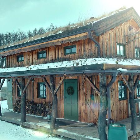 Chalet Boruvka - Biofarma Na Samote V Lesich Benesov  Экстерьер фото