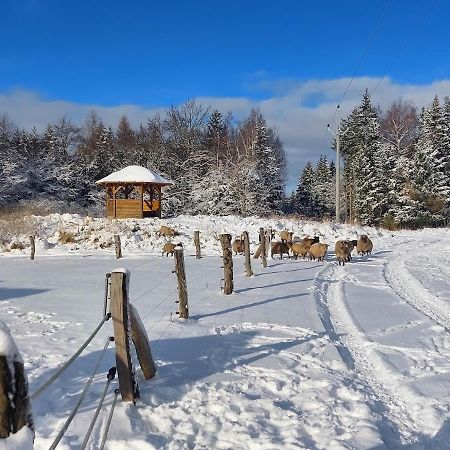 Chalet Boruvka - Biofarma Na Samote V Lesich Benesov  Экстерьер фото