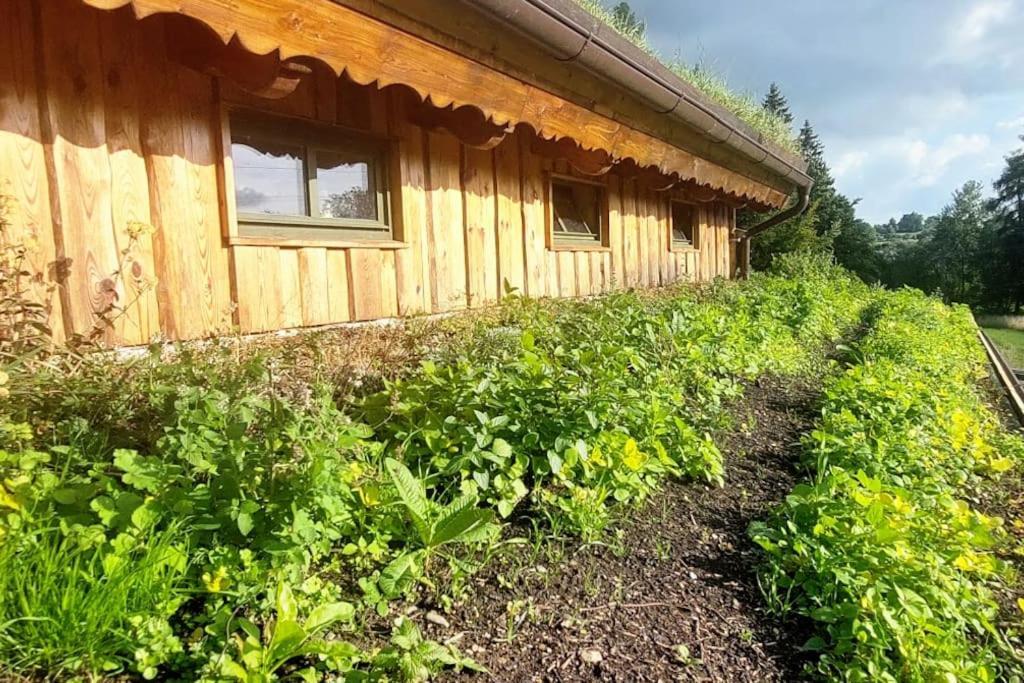 Chalet Boruvka - Biofarma Na Samote V Lesich Benesov  Экстерьер фото