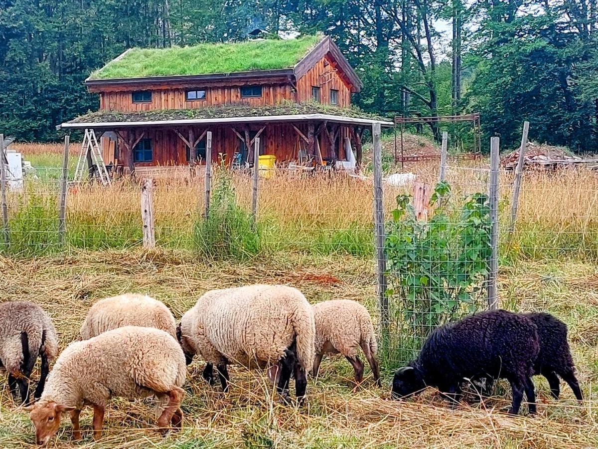 Chalet Boruvka - Biofarma Na Samote V Lesich Benesov  Экстерьер фото