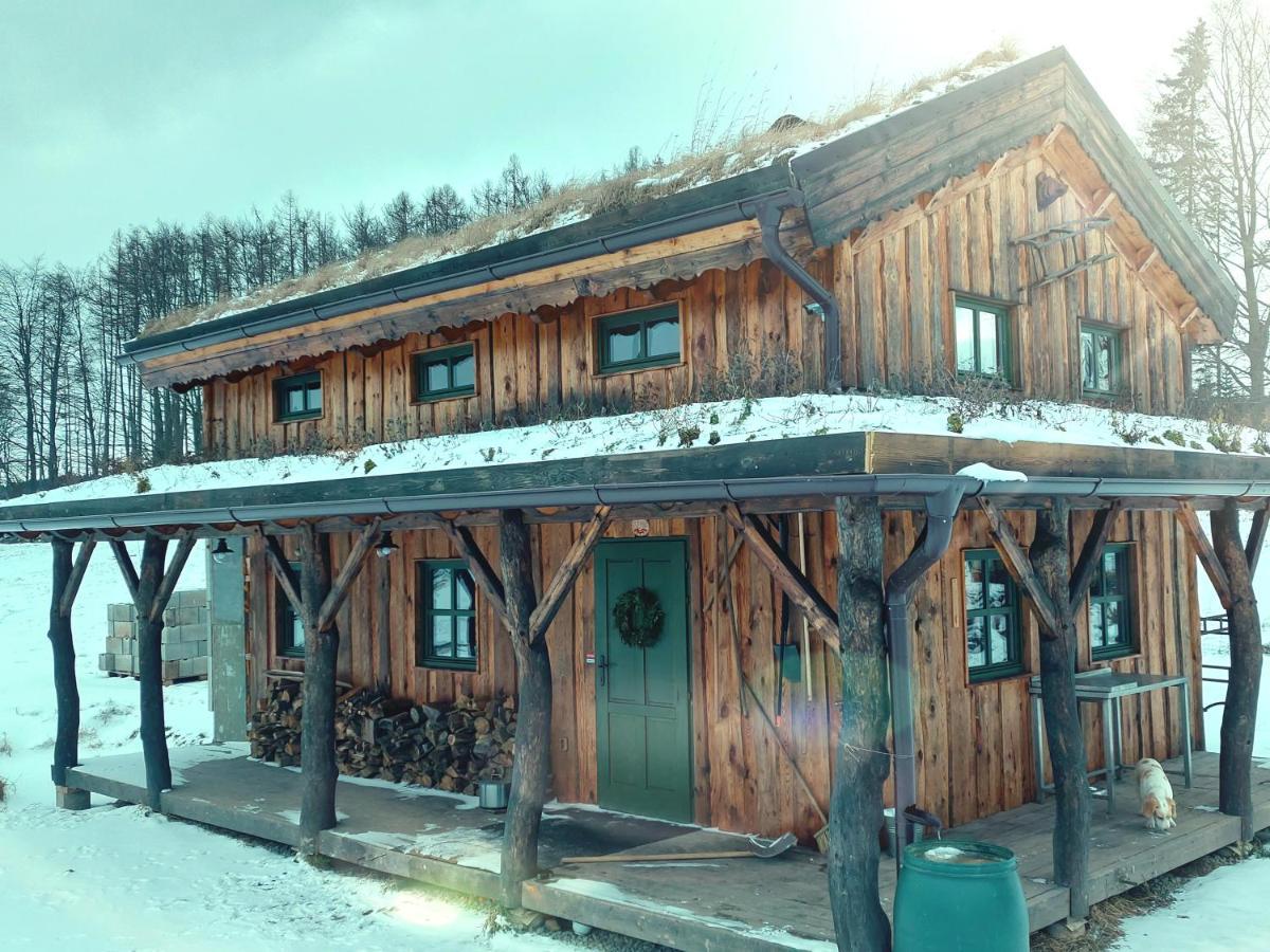 Chalet Boruvka - Biofarma Na Samote V Lesich Benesov  Экстерьер фото