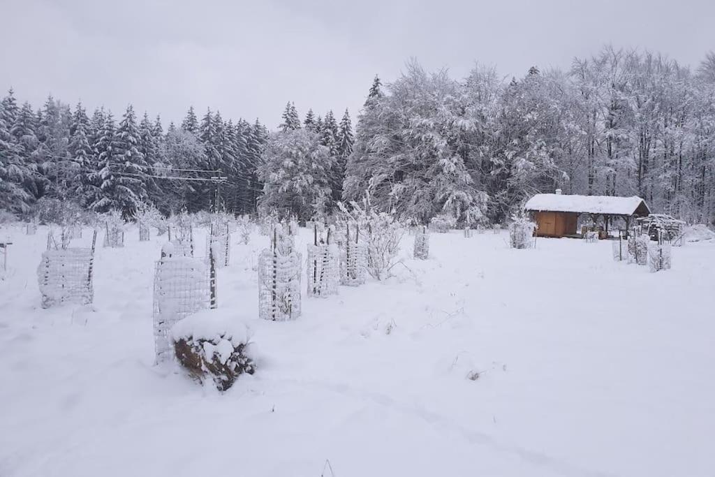 Chalet Boruvka - Biofarma Na Samote V Lesich Benesov  Экстерьер фото