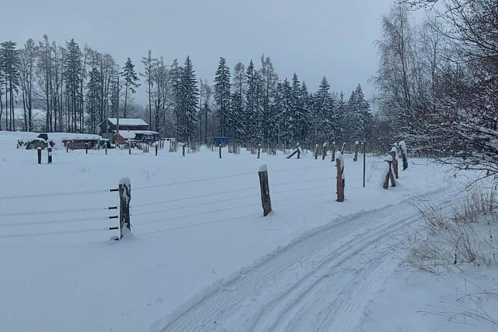 Chalet Boruvka - Biofarma Na Samote V Lesich Benesov  Экстерьер фото