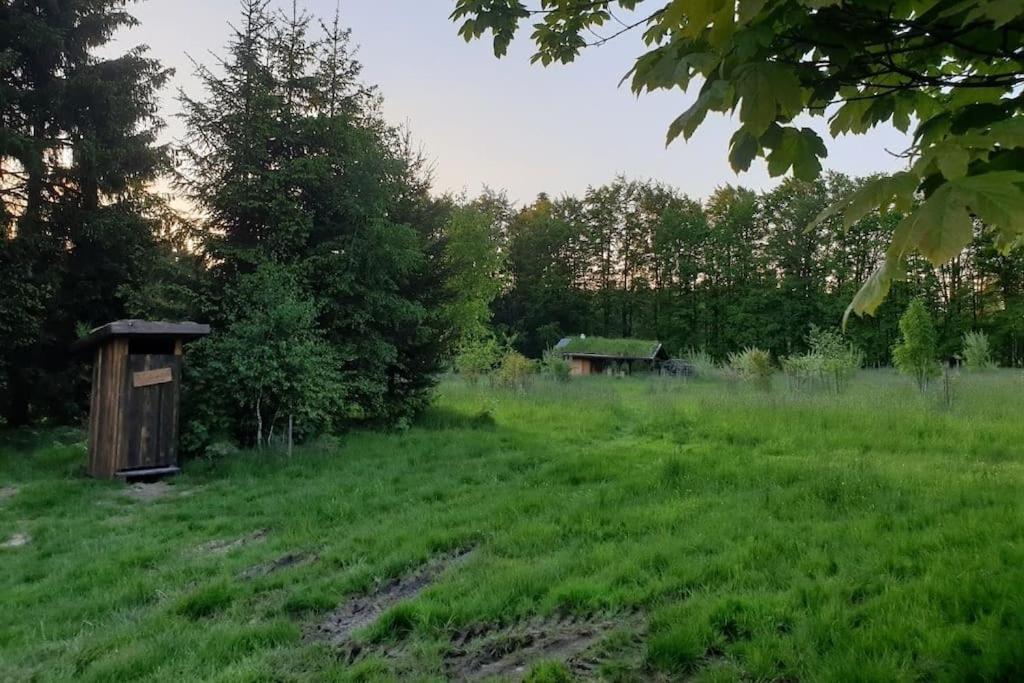 Chalet Boruvka - Biofarma Na Samote V Lesich Benesov  Экстерьер фото