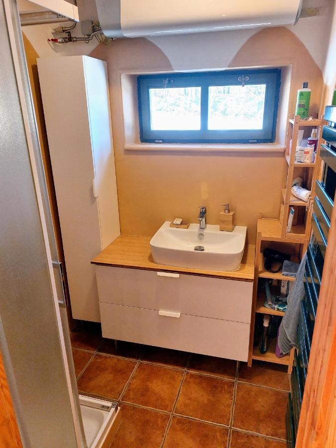 Chalet Boruvka - Biofarma Na Samote V Lesich Benesov  Экстерьер фото