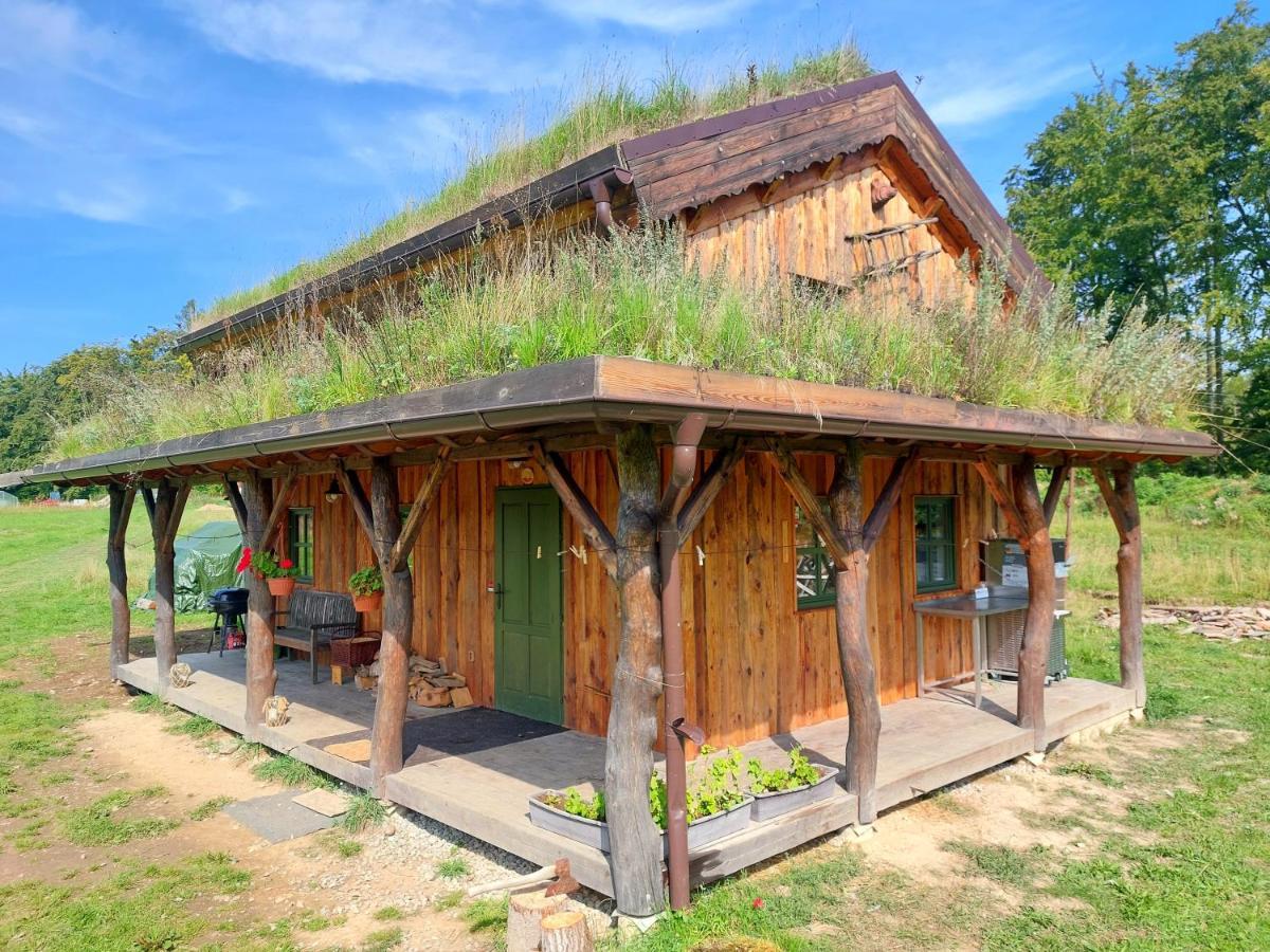 Chalet Boruvka - Biofarma Na Samote V Lesich Benesov  Экстерьер фото