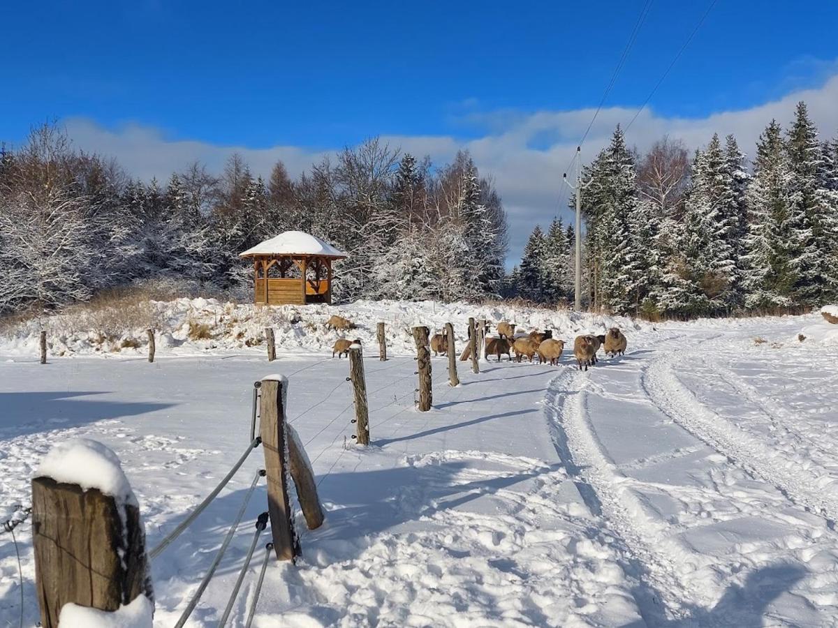 Chalet Boruvka - Biofarma Na Samote V Lesich Benesov  Экстерьер фото